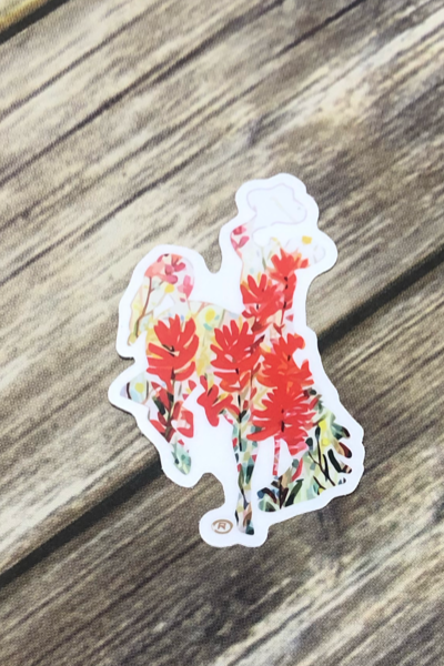 Simply Steamboat Decals